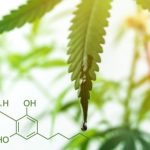 Cannabidiolo CBD